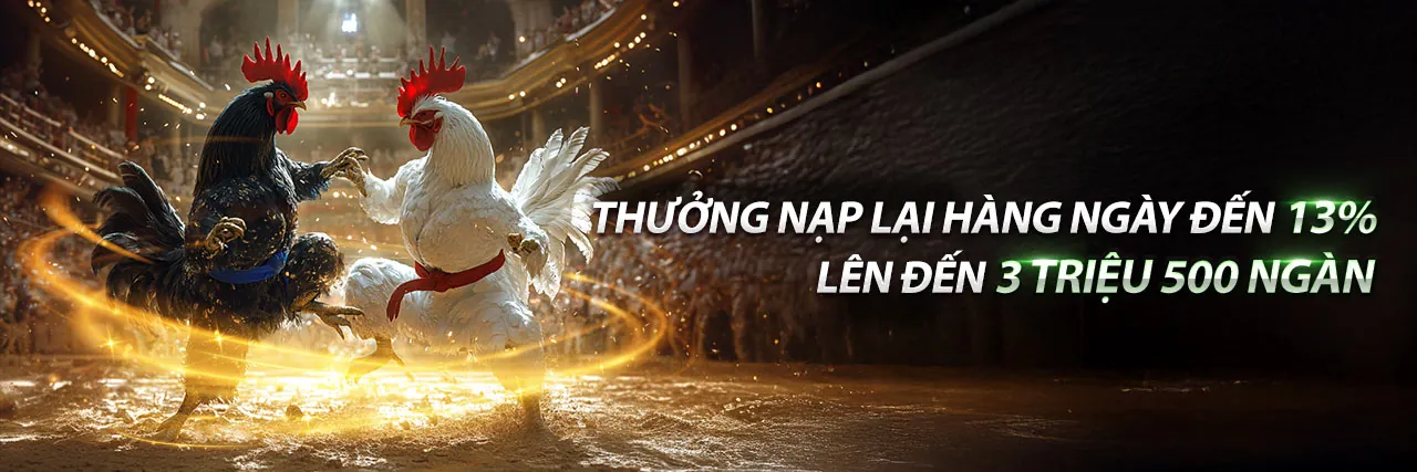 Đá Gà Trực Tiếp 23 - Sân đấu gà kịch tính